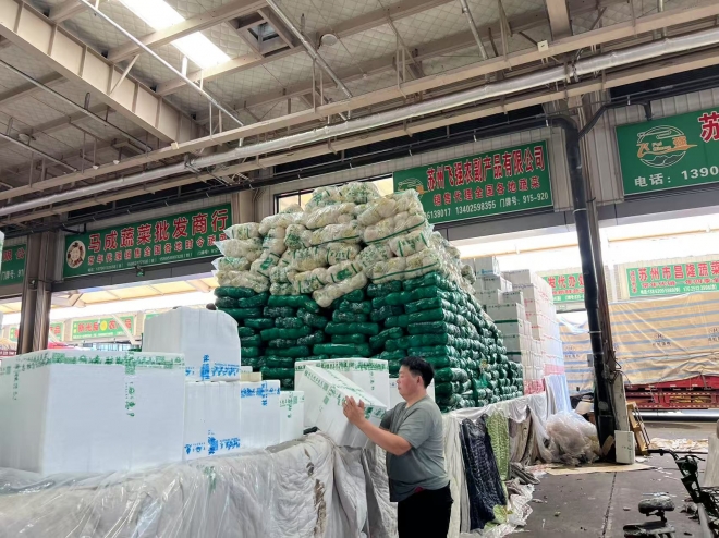 4888吨！南环桥市场开学季蔬菜供应创新高