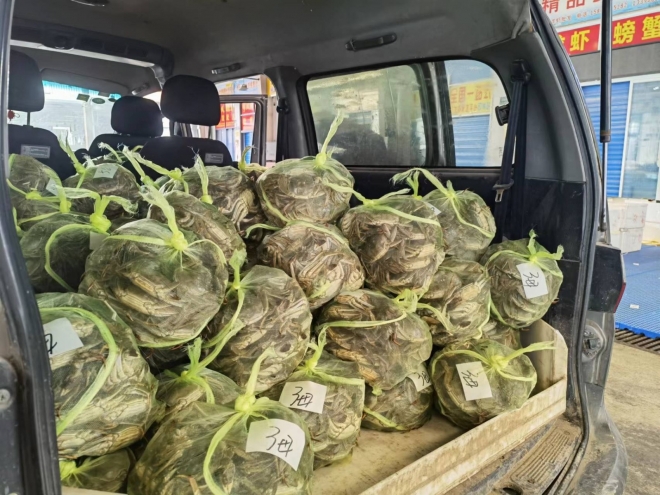 中秋国庆双节至！南环桥市场 12 万吨农副产品筑牢节日 “菜篮子”