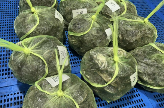 苏州南环桥市场暖心姜汤蟹醋助力金秋蟹季升温 苏州南环桥市场暖心姜汤蟹醋助力金秋蟹季升温