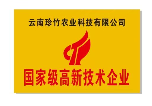 共拓太空竹育种新篇 ！各国专家聚滇达成多项合作