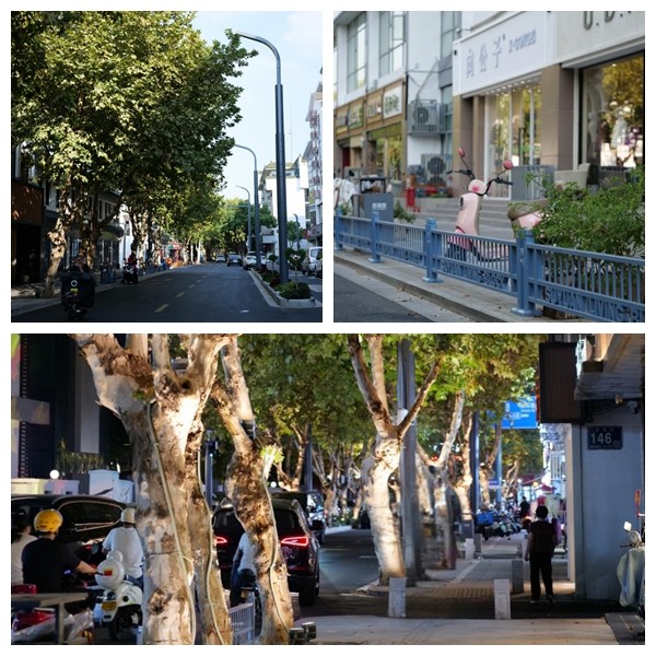 当老街区遇见“苏式美学”,苏州吴中城管焕新中心城区新图景 当老街区遇见“苏式美学”,苏州吴中城管焕新中心城区新图景