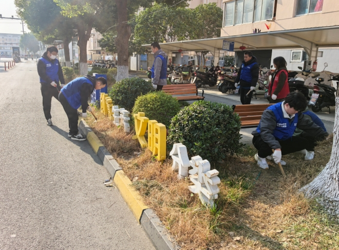 苏州园区吴淞社区联合三星电子开展志愿服务，提升“颜值”与温度