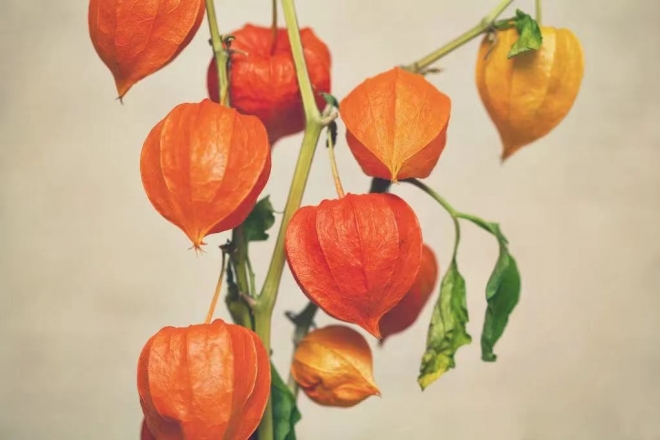 年初,写给自己写给岁月 年初,写给自己写给岁月