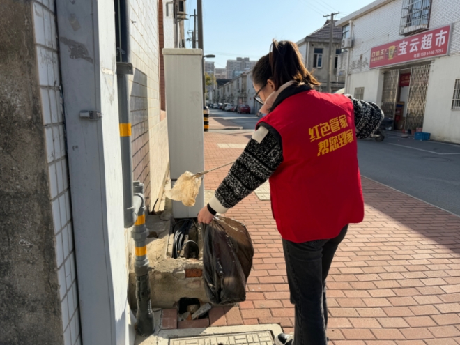 苏州园区市镇社区开展洁净家园日活动 苏州园区市镇社区开展洁净家园日活动
