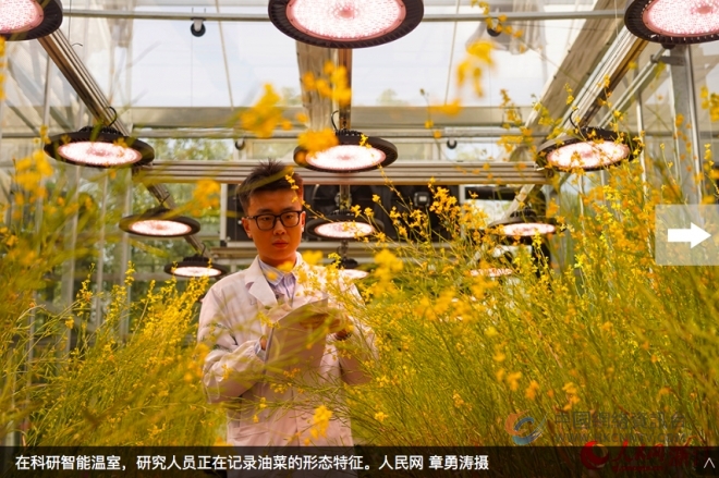 浙江杭州：科技赋能田野 筑就农业科创高地