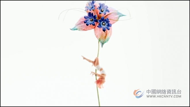 定格花束盛放瞬间 GENTLE MONSTER 2026 BOUQUET系列携限时空间而来