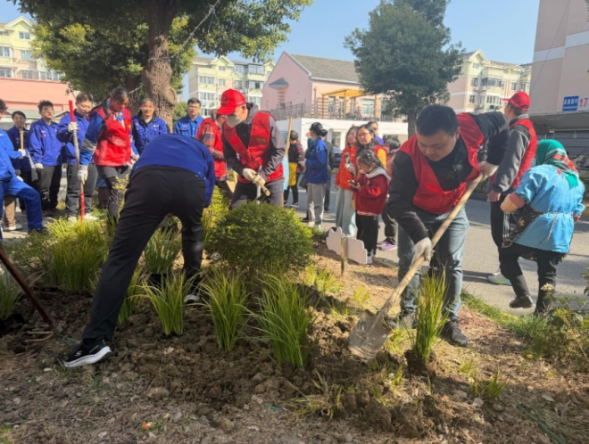 苏州园区吴淞社区：社企联建添新绿 “吴里厢”畔谱新篇