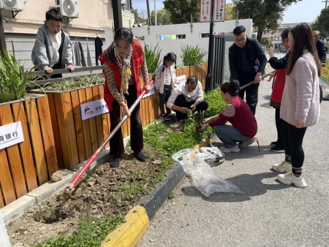 苏州园区吴淞社区：植此青绿，共享春光