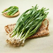 奥乐齐入苏一周年,规模、供应链、商品齐速并进,超200款低价好物焕新上市 奥乐齐入苏一周年,规模、供应链、商品齐速并进,超200款低价好物焕新上市