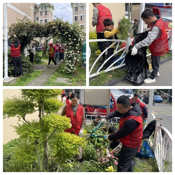苏州园区吴淞社区《吴里厢·与zhi同行》共享花圃维护活动圆满开展