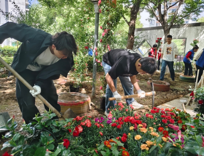 红韵花圃焕新颜,社企共建暖家园!苏州园区汀兰社区开展党群阵地共建行动 红韵花圃焕新颜,社企共建暖家园!苏州园区汀兰社区开展党群阵地共建行动