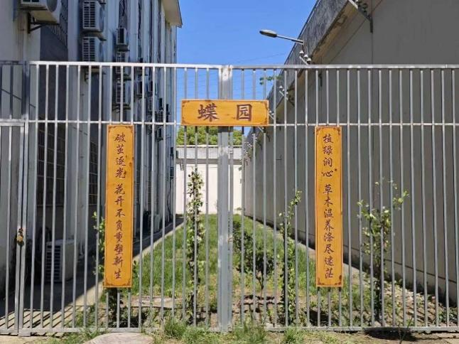 蝶韵润心，赋能成长！苏州开展五月校园心理健康系列活动
