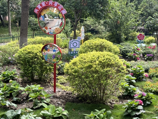 闲置空地蝶变花海，苏州园区兴浦社区三方共治绘就宜居新图景