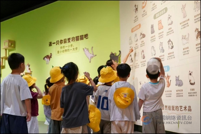 融非遗、国画与公益艺术 盐城市美术馆推出夏日艺术大餐