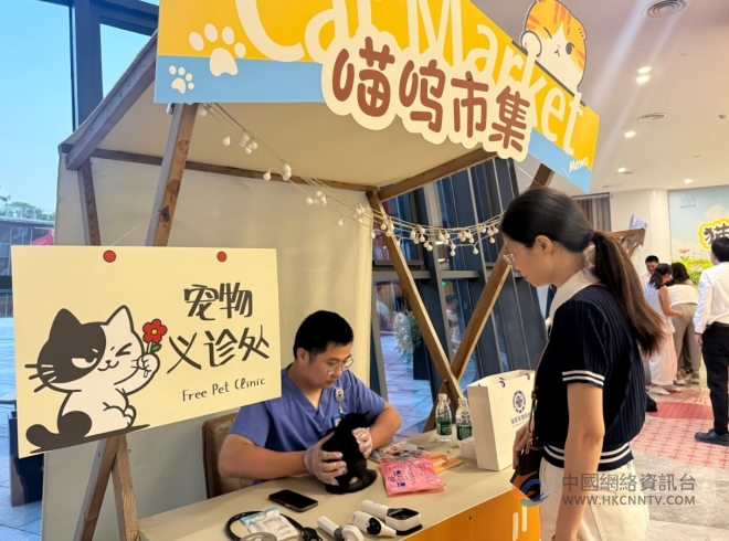 盛夏流光遇艺韵 盐城市美术馆暑期绘就全城文艺新图景 盛夏流光遇艺韵 盐城市美术馆暑期绘就全城文艺新图景