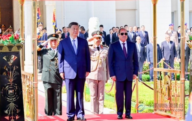 习近平同埃及总统塞西会谈