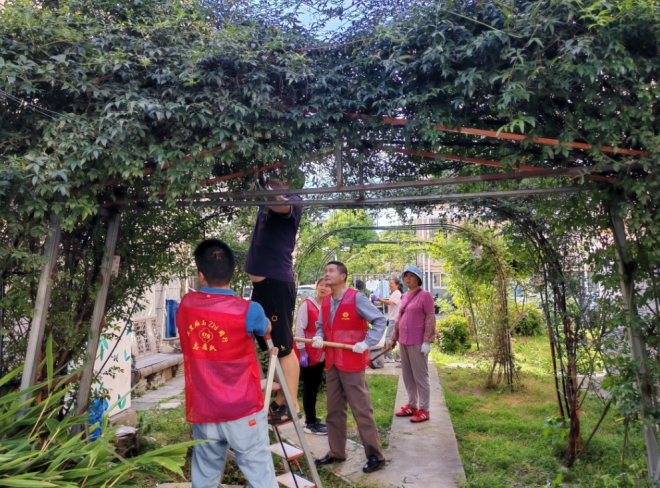 苏州园区吴淞社区开展共享花圃维护志愿活动 苏州园区吴淞社区开展共享花圃维护志愿活动